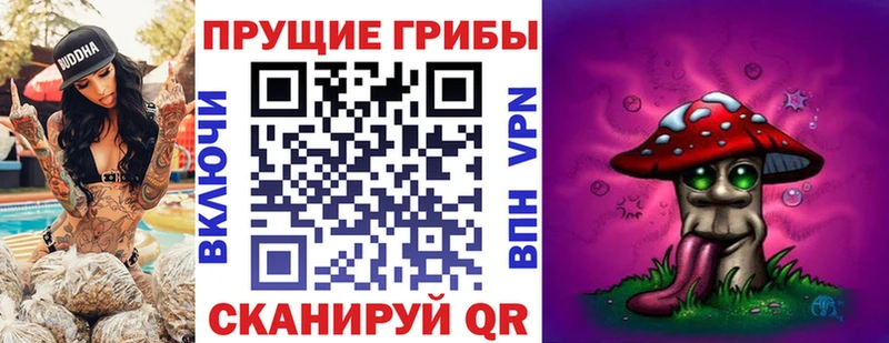 Псилоцибиновые грибы Cubensis  Козельск 